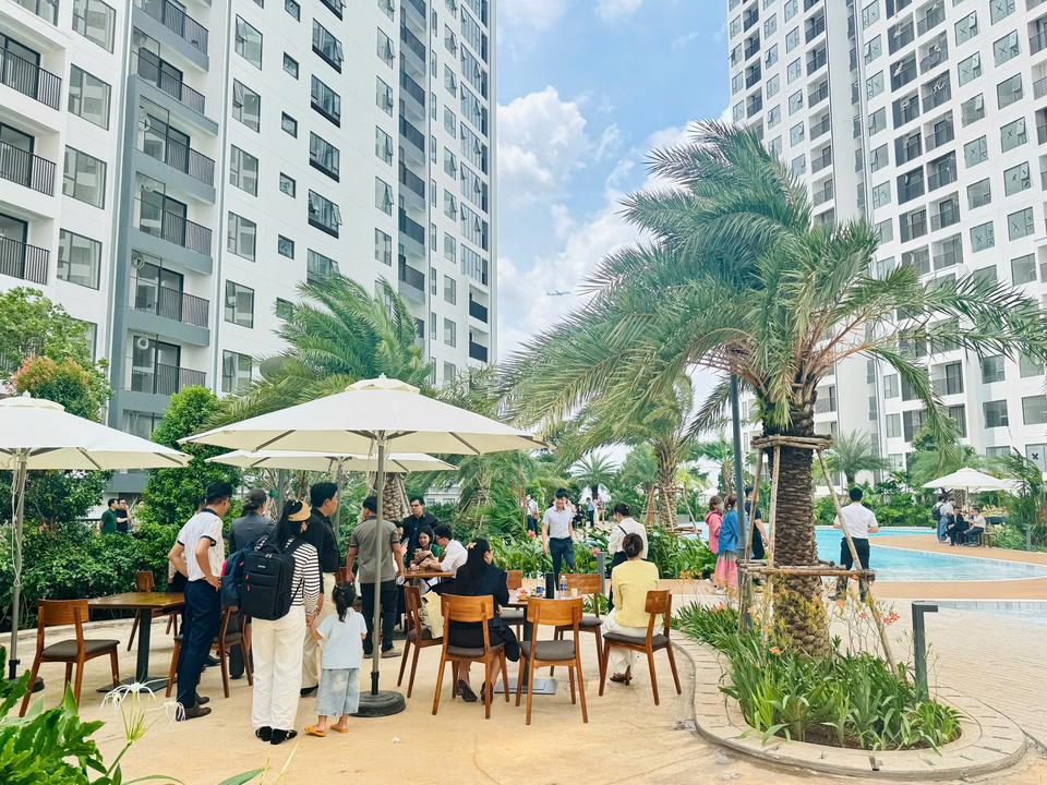 Khu vườn và bàn ghế ngoài trời trong nội khu